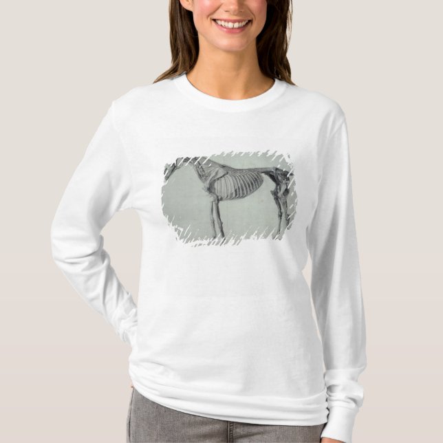 George Stubbs | färdig studie för den femte T-shirt (Framsida)