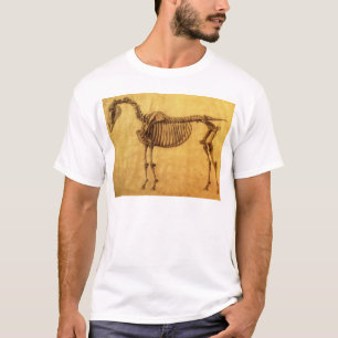 George Stubbs   färdig studie för den första T Shirt