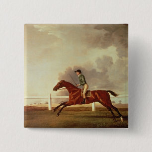George Stubbs fjärd Malton med den John Knapp