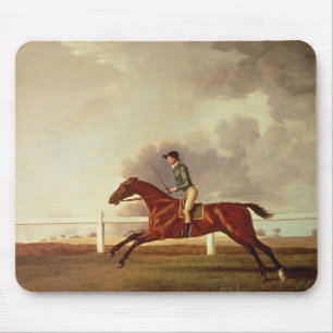 George Stubbs fjärd Malton med den John Musmatta