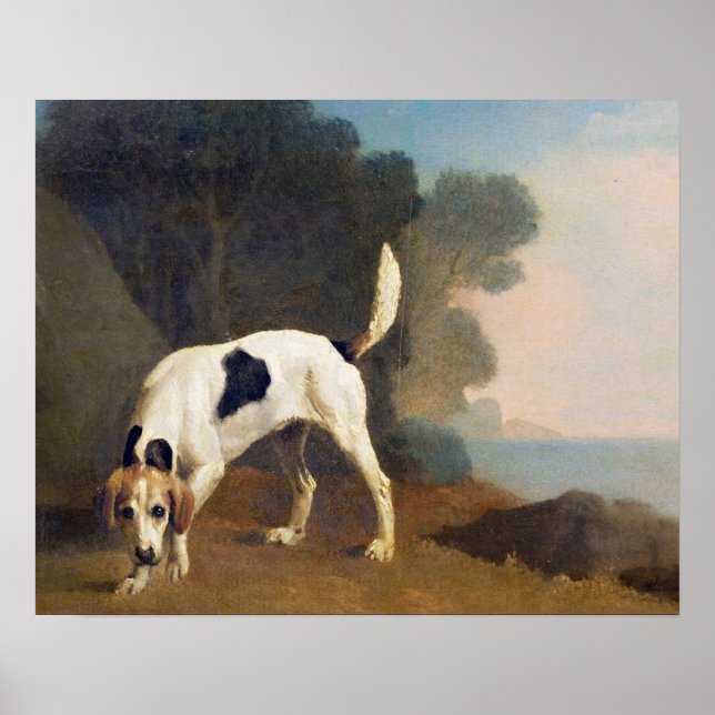George Stubbs | Foxhound on the Scent, c.1760 (olj Poster (Framsidan)