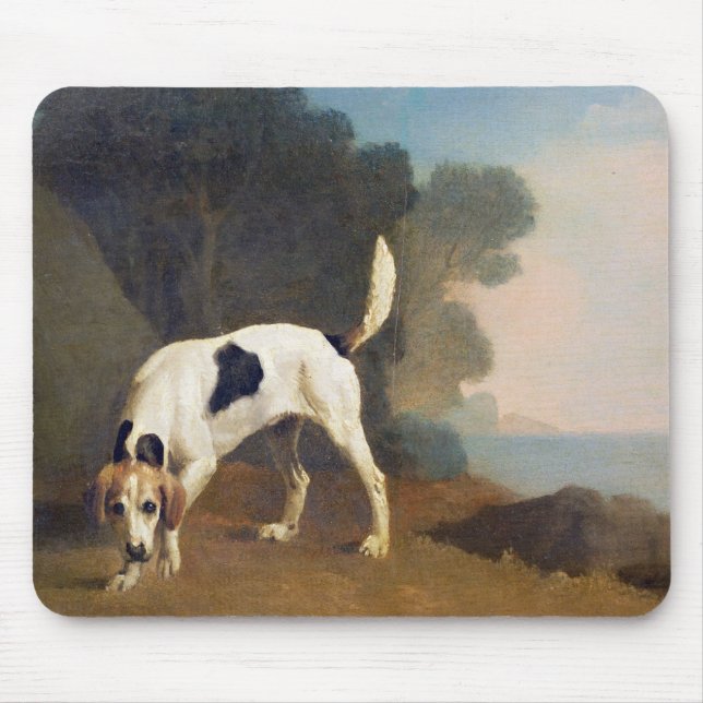 George Stubbs | Foxhound på doften, c.1760 (olja Musmatta (Framsidan)