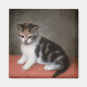 George Stubbs Fröcken Ann vit kattunge, 1790 Magnet