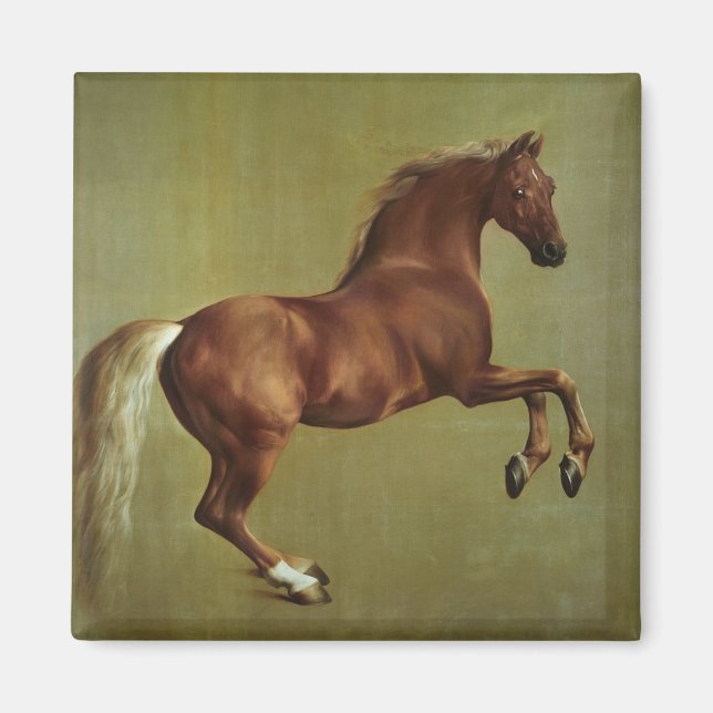 George Stubbs | histjacka, 1762 Magnet (Framsidan)