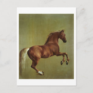 George Stubbs histjacka, 1762 Vykort