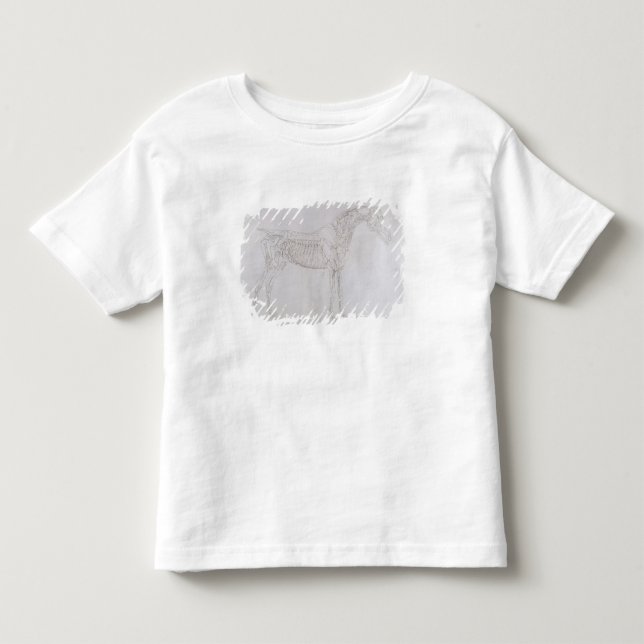 George Stubbs | illustration från 'anatomin av Tee Shirt (Framsida)