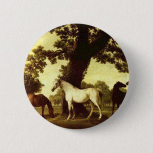 George Stubbs Knapp
