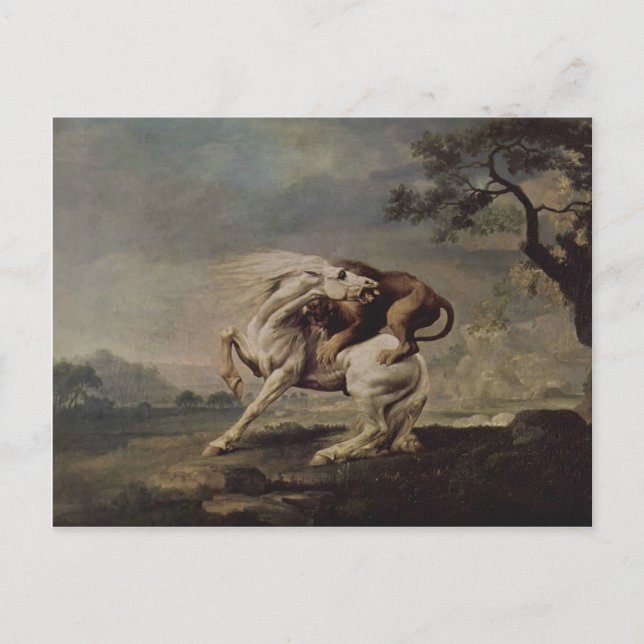 George Stubbs - Lejon Attacking a Horse Vykort (Framsida)