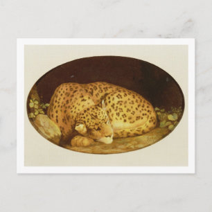 George Stubbs Leopard, 1777 (emamel on Vykort