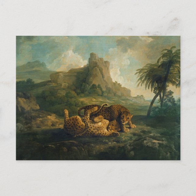 George Stubbs | Leoparder at Play, c.1763-8 Vykort (Framsida)