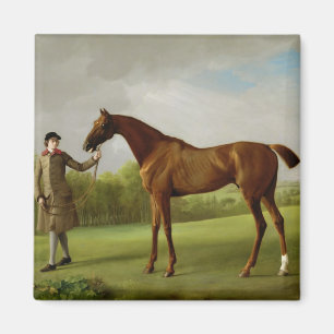 George Stubbs lyster som rymms av en brudgum, Magnet