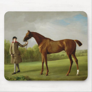 George Stubbs lyster som rymms av en brudgum, Musmatta