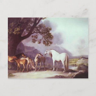 George Stubbs- Mares and Foals in a Ligcape Vykort