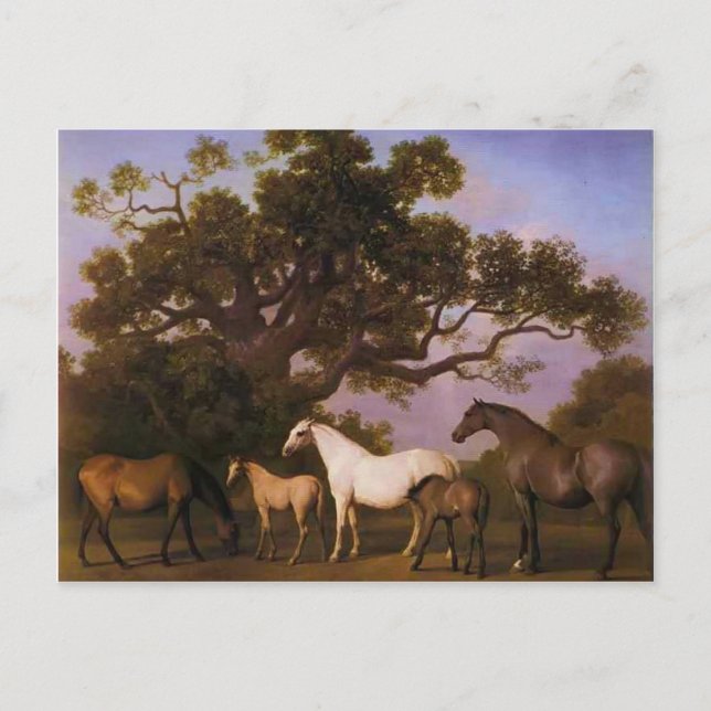 George Stubbs- Mares and Foals under Oak Träd Vykort (Framsida)