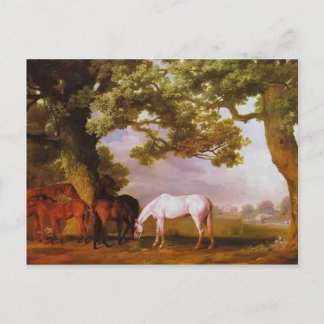 George Stubbs- Mares & Foals in a Wooded Ligcape Vykort