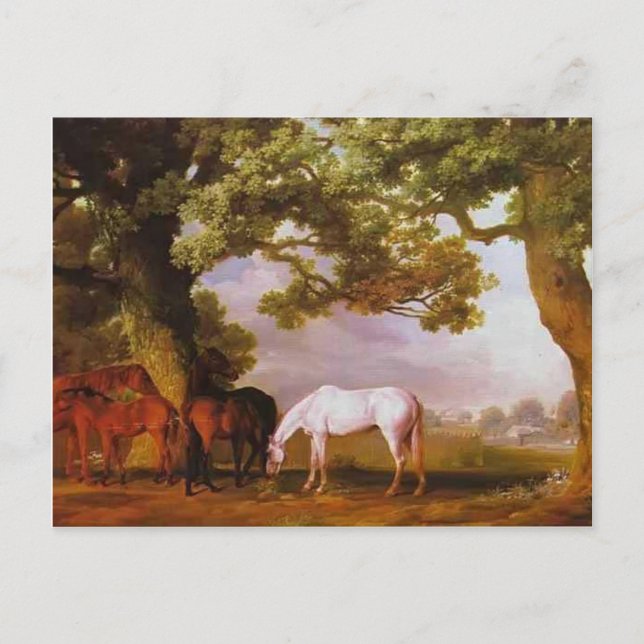 George Stubbs- Mares & Foals in a Wooded Ligcape Vykort (Framsida)