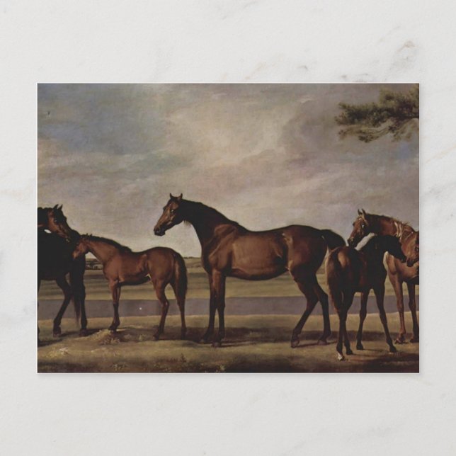 George Stubbs-Mares, föl före en storm Vykort (Framsida)