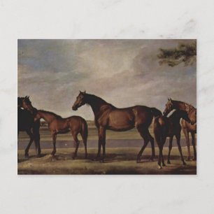 George Stubbs-Mares, föl före en storm Vykort