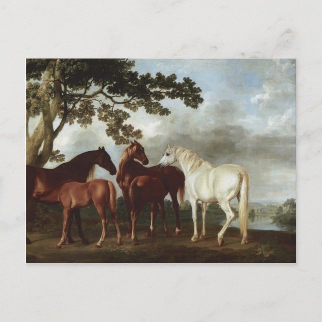 George Stubbs-Mares och Foals i ett landskap Vykort (Framsida)