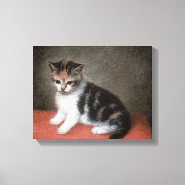 George Stubbs | Miss Ann White's Kitten, 1790 Canvastryck (Framsida)