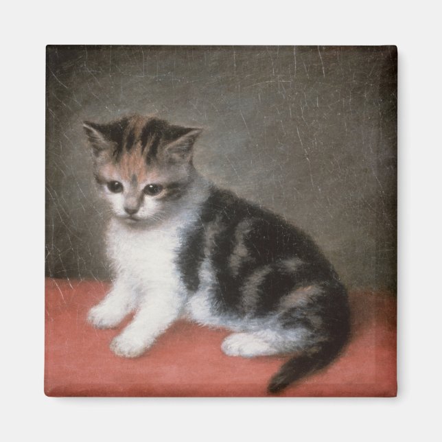 George Stubbs | Miss Ann White's Kitten, 1790 Magnet (Framsidan)