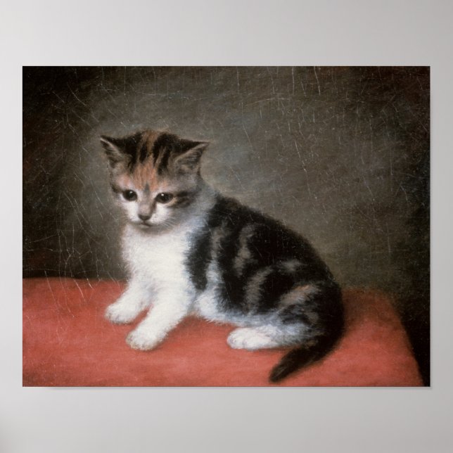 George Stubbs | Miss Ann White's Kitten, 1790 Poster (Framsidan)