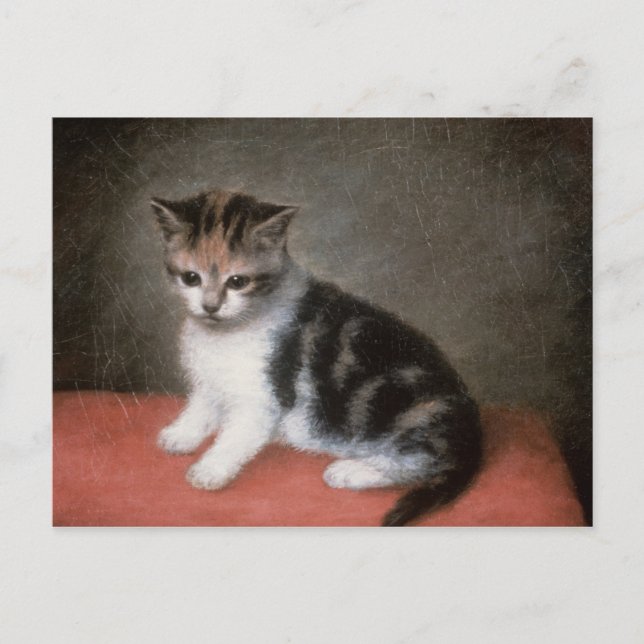 George Stubbs | Miss Ann White's Kitten, 1790 Vykort (Framsida)