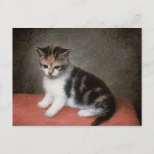 George Stubbs Miss Ann White's Kitten, 1790 Vykort