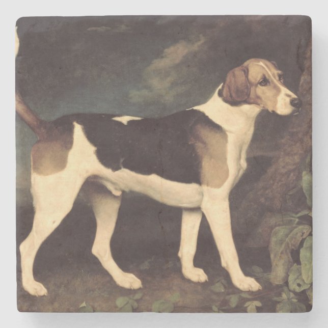 George Stubbs | Ringwood, en Brocklesby Foxhound, Underlägg Sten (Framsidan)