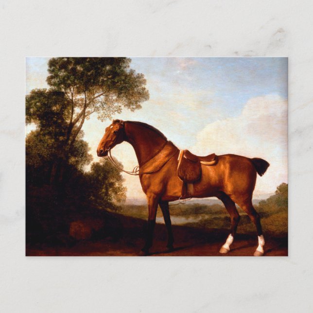 George Stubbs Saddled Bay Hunter Vykort (Framsida)