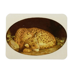 George Stubbs sova Leopard, 1777 (emalj på Magnet