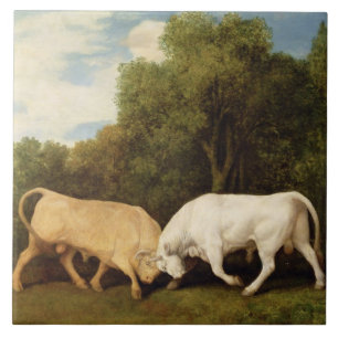 George Stubbs tjurar som slåss, 1786 (olja på Kakelplatta