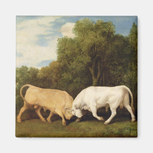 George Stubbs tjurar som slåss, 1786 (olja på Magnet