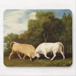 George Stubbs tjurar som slåss, 1786 (olja på Musmatta
