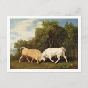 George Stubbs Tjurfäktning, 1786 (olja på panele Vykort