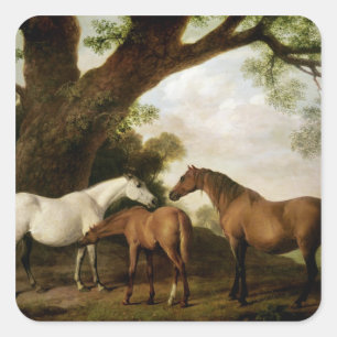 George Stubbs Två Shafto Mares och en Foal 1774 Fyrkantigt Klistermärke