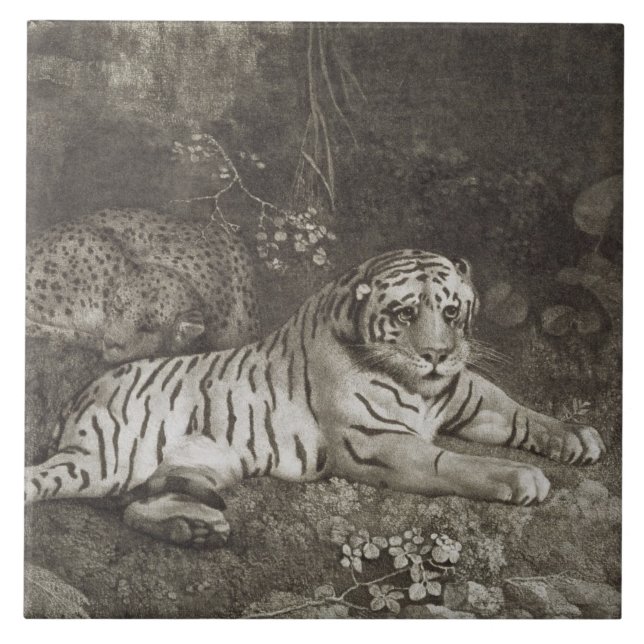 George Stubbs | två Tygers som inristas av Kakelplatta (Framsidan)