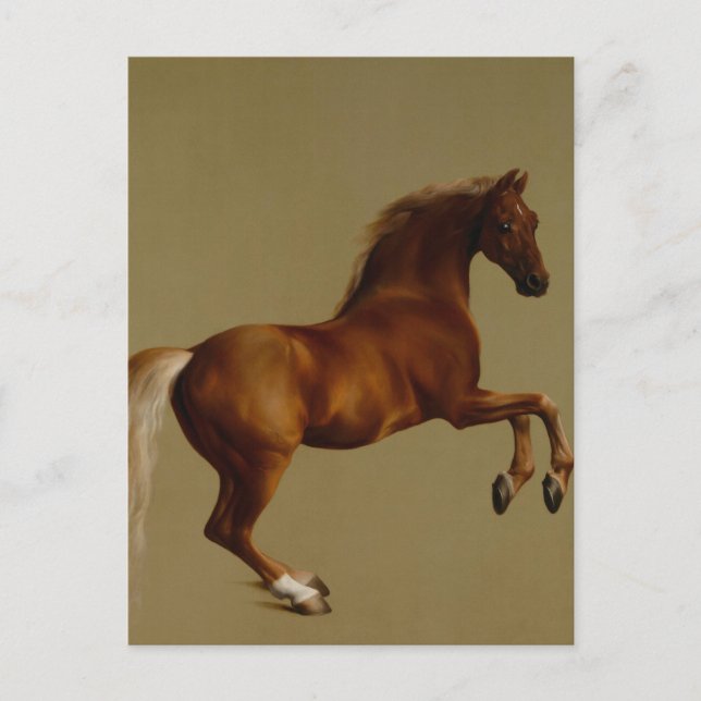 George Stubbs Whistlejejok Tävling Horse Vykort (Framsida)