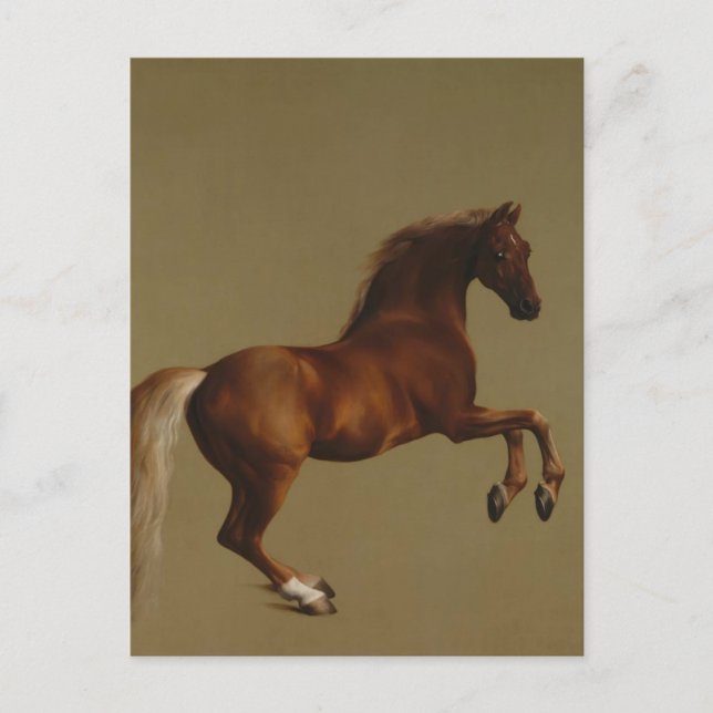 George Stubbs- Whistlejjacka Vykort (Framsida)