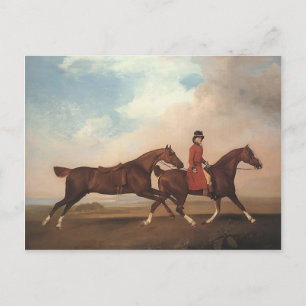 George Stubbs-William Andersson,två sadelhästar Vykort