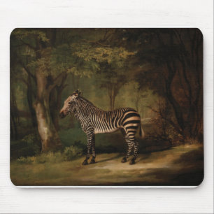 George Stubbs - Zebra Musmatta