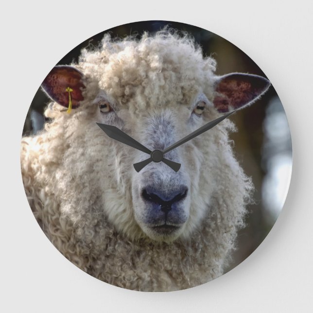 'George' The Sheep Photo Clock Stor Klocka (Framsida)
