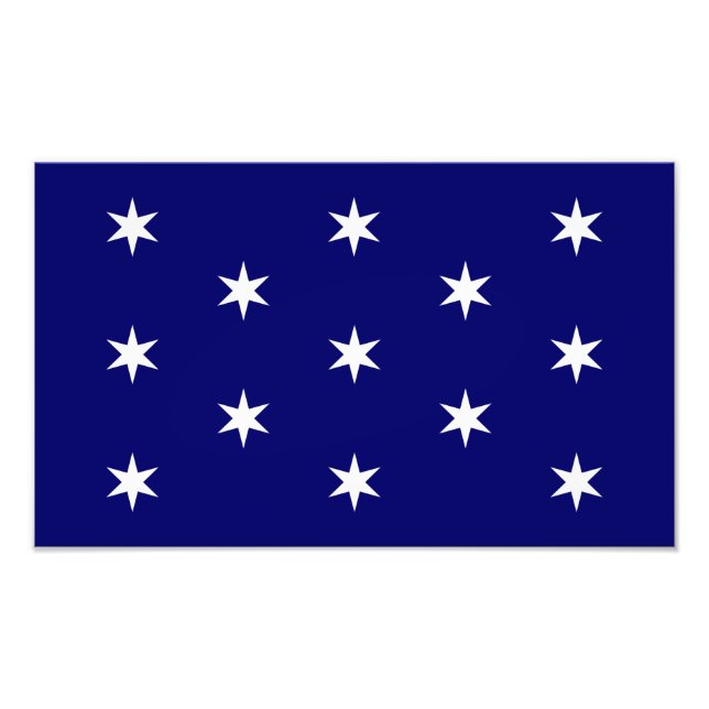 George Washingtons befälhavare i Chief Flagga Fototryck (Framsidan)