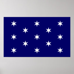 George Washingtons befälhavarflagga Poster