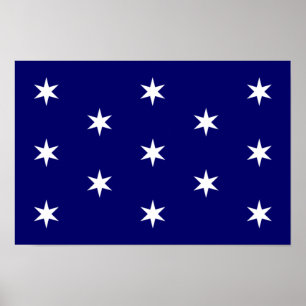 George Washingtons personliga Flagga Poster