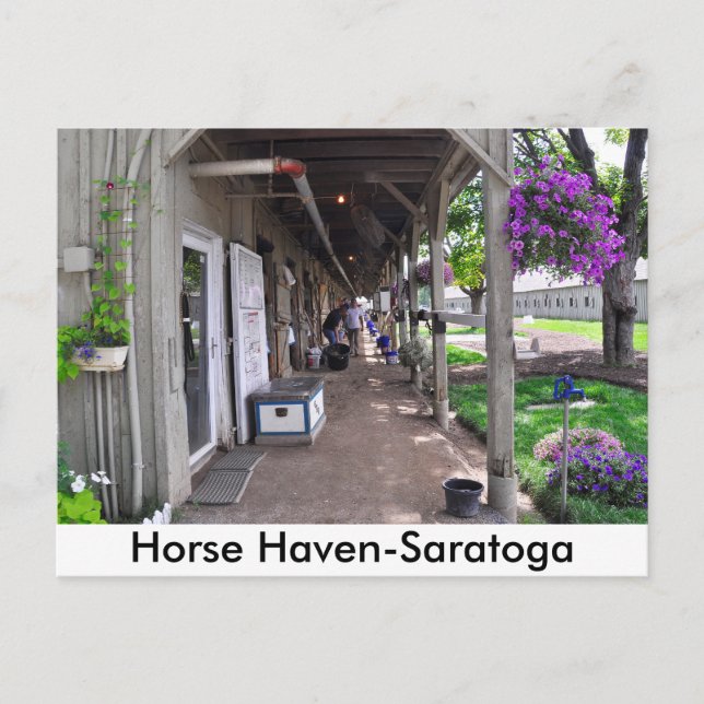 George Weaver Stables i Saratoga Vykort (Framsida)