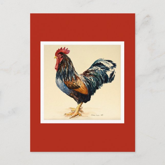 George's Cockerel 2007 Vykort (Framsida)