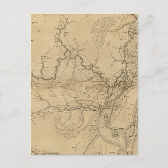 Georgetown District, South Carolina Vykort (Framsida)