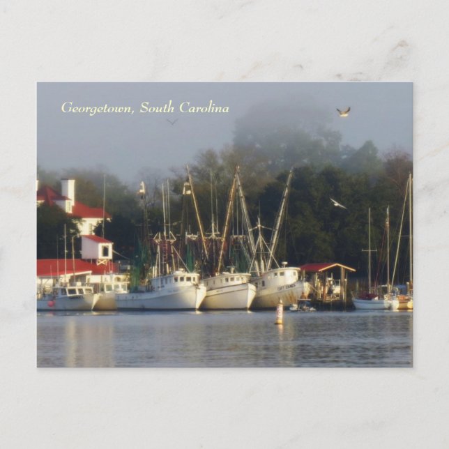Georgetown Shrimp Boats Souvenir Postcard Vykort (Framsida)