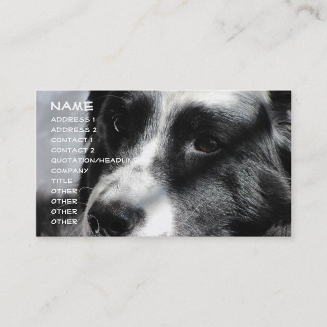 Georgia April 5 2009 012, namn, adress 1, Addr… Visitkort (Framsida)